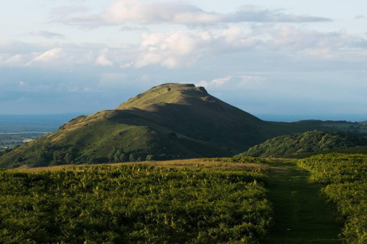 Nest Holiday Hideaway Wren Cottage Stunning Area! Church Stretton Eksteriør billede